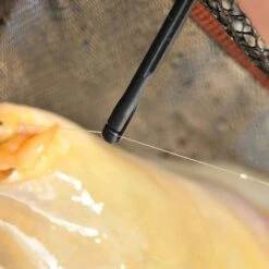 Guru Disgorger - Conti -Rod Venture Sales Store 37777 3