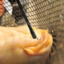 Guru Disgorger - Conti -Rod Venture Sales Store 37777 4