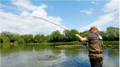 Daiwa Black Widow G50 Carp Rod - 12' 2.75lb -Rod Venture Sales Store 40991 3