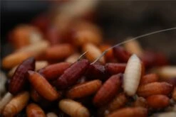 Guru Pole Special Hooks - Size 14 -Rod Venture Sales Store 44080 4