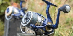 Daiwa 18 TDR Reel - 2508QD -Rod Venture Sales Store 44926 6