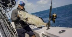 PENN Spinfisher VI Reel - 2500 -Rod Venture Sales Store 45072 9