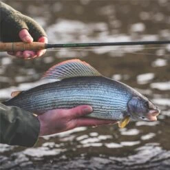 Vision Nymphmaniac Fly Rod - 11ft #4 -Rod Venture Sales Store 45396 4