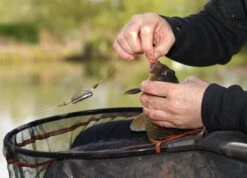 Guru Multi Maggot Feeder - Mini 20g -Rod Venture Sales Store 47723 4