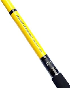 Daiwa Sandstorm Surf Rod - 12'6 2pc Fixed Spool -Rod Venture Sales Store 48611 5