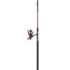 Shakespeare Firebird Match Rod And Reel Combo - 10ft
