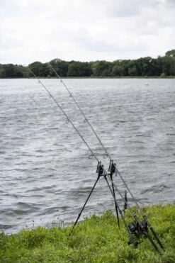 AVID Lok Down Buzz Pod - 8" - 2 Rod 14 AVID Lok Down Buzz Pod - 8" - 2 Rod -Rod Venture Sales Store 49756 6