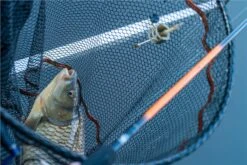 Guru N-Gauge Power Feeder Rod 12ft 2pc -Rod Venture Sales Store 50491 7