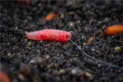 Guru Super Fine Pole Hooks - Size 16 -Rod Venture Sales Store 50742 2