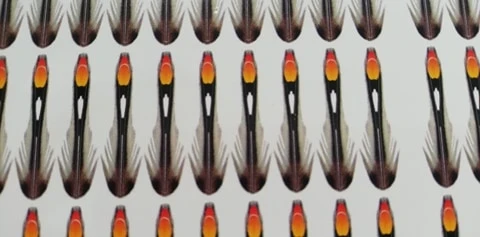 Jungle Cock Cheeks - 10mm Extra Small Hot Orange 1 Jungle Cock Cheeks - 10mm Extra Small Hot Orange