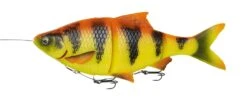 Savage Gear 4D Linethru Roach 18cm 86g Med Sink - Firetiger -Rod Venture Sales Store 51419 3
