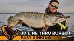 Savage Gear 3D Linethru Burbot 36cm 216g Fast Sink - Black Gold UV -Rod Venture Sales Store 52259 7