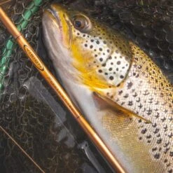 Vision Rivermaniac Fly Rod - 9FT #5 -Rod Venture Sales Store 54602 3