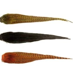 Cock Pheasant Complete Tail - Natural