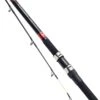 Daiwa Tournament Pro Surf Rod - Sea Bass 11'6'' 2pc